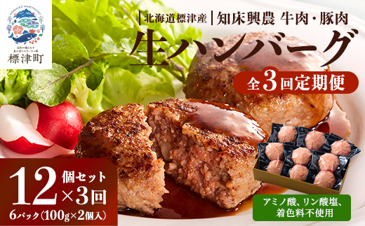 【毎月定期便】生ハンバーグ12個セット　冷凍 国産 牛肉 豚肉 ギフト 小分け 人気 全3回【配送不可地域：離島】