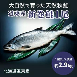 道東産新巻鮭オス(約2.9kg)1尾[配送不可地域:離島]