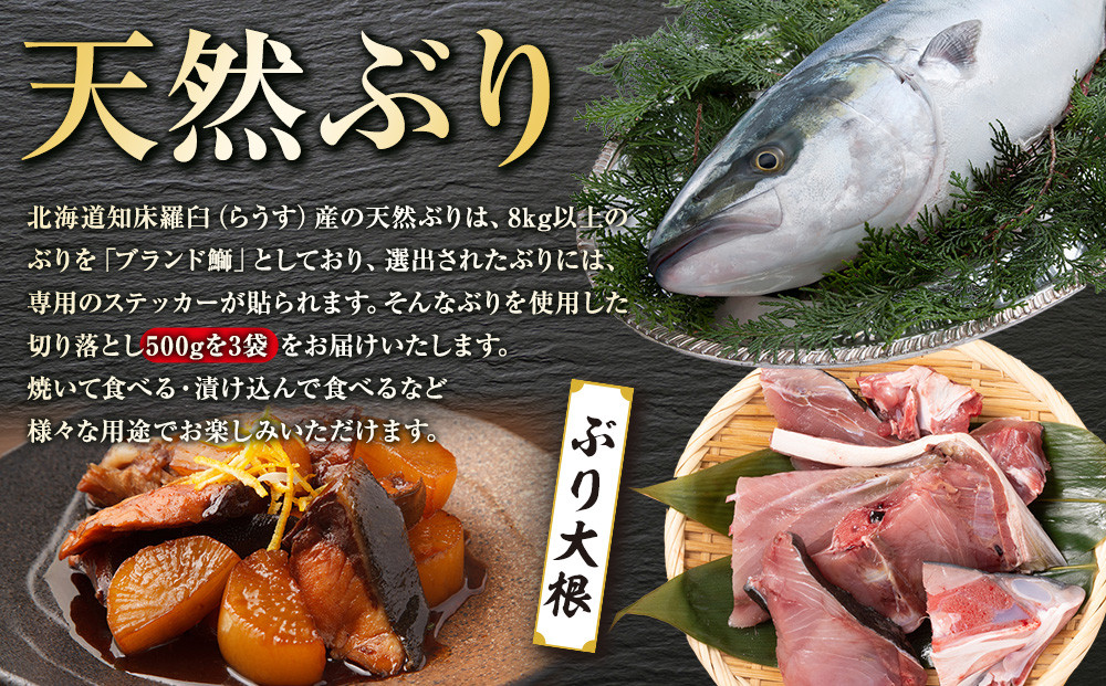 訳あり 北海道知床羅臼産 天然 ぶり 切り落とし（加熱用）1.5kg（500g×3袋）魚 海産物 魚介 魚介類 生産者 支援 応援
