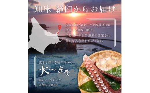 知床羅臼産冷凍煮だこ(4本)5kg 生産者 支援 応援