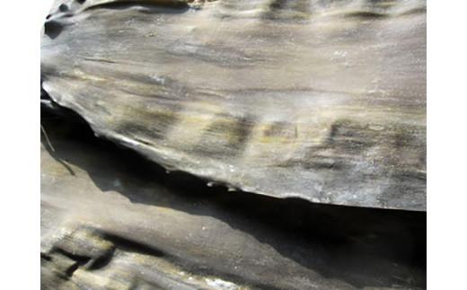 羅臼昆布 養殖 1等 300g北海道 知床 羅臼産 生産者 支援 応援