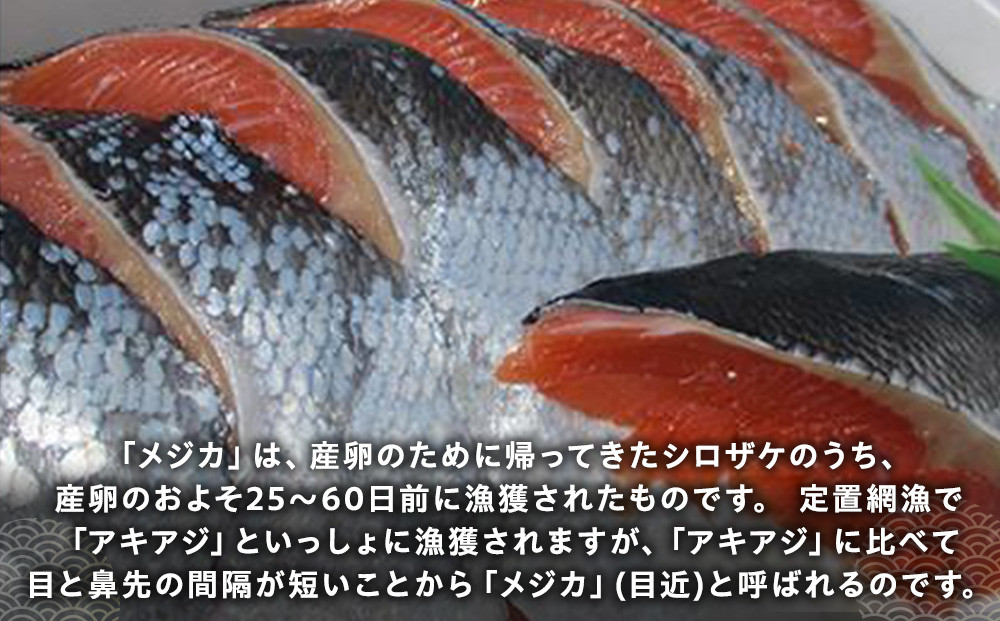 知床羅臼産 目近鮭切身 400g前後×2パック 生産者 支援 応援