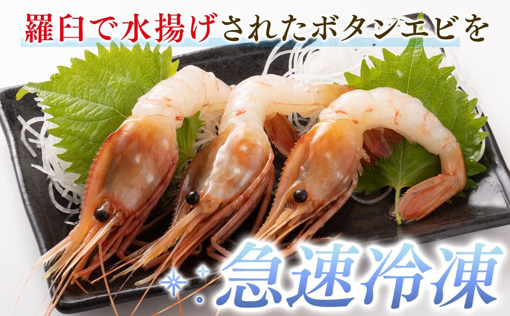 知床羅臼ボタンエビ(大) 500g(250g×2）生産者 支援 応援