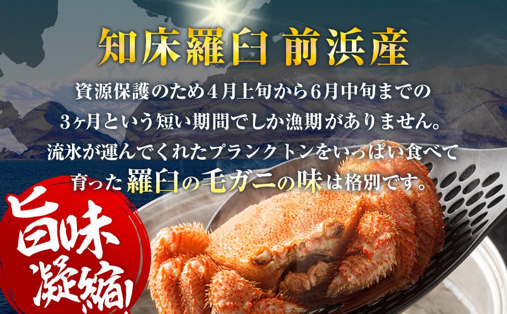 【先行予約/2026年4月発送開始】2026年産　ボイル冷凍毛ガニ　大１尾（600～650g）