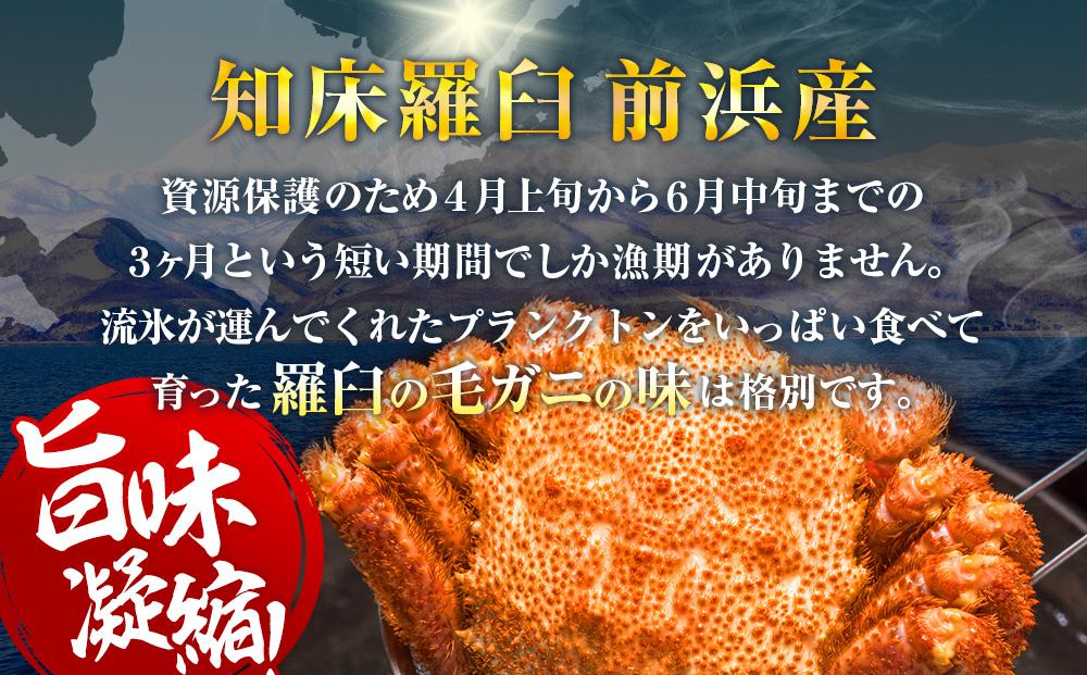 【先行予約/2026年4月発送開始】2026年産　ボイル冷凍毛ガニ　１kg　300g～500g　2～3尾