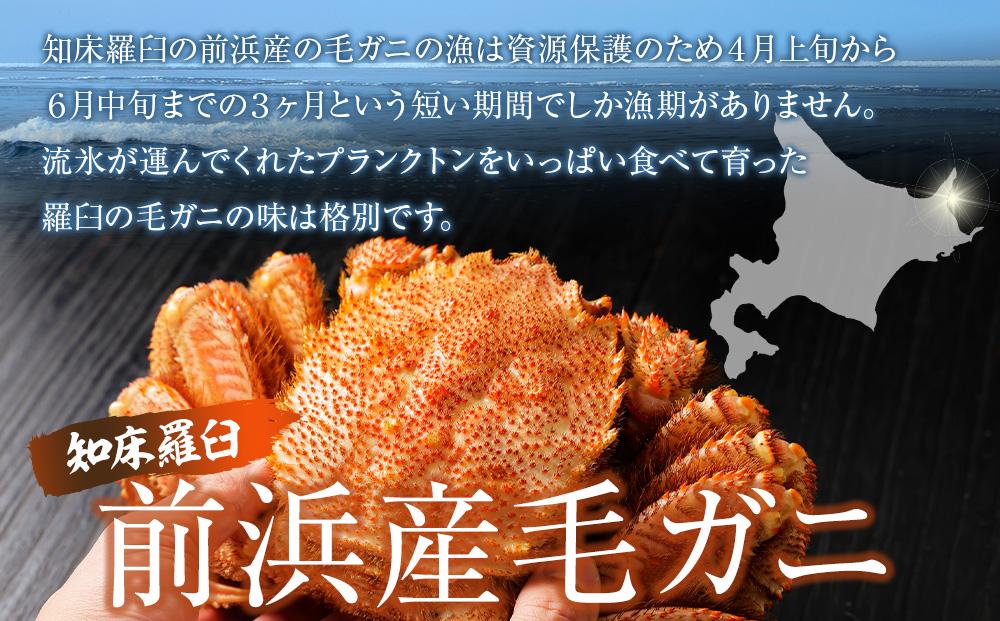  【先行予約/2026年4月発送開始】活毛ガニ　大１尾（600g～650g前後）