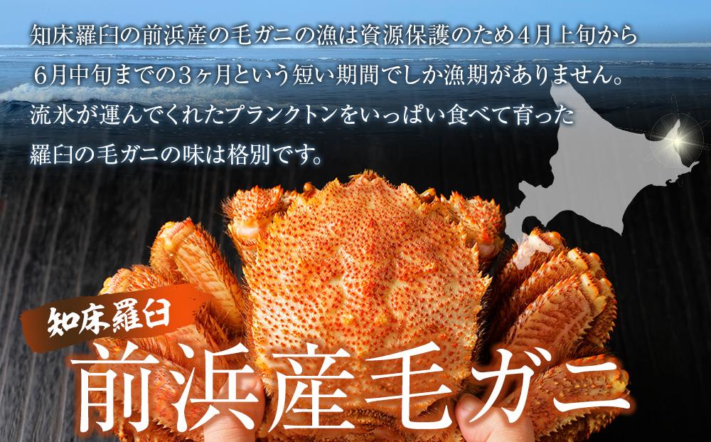  【先行予約/2026年4月発送開始】活毛ガニ　１kg　300g～500g　２～３尾