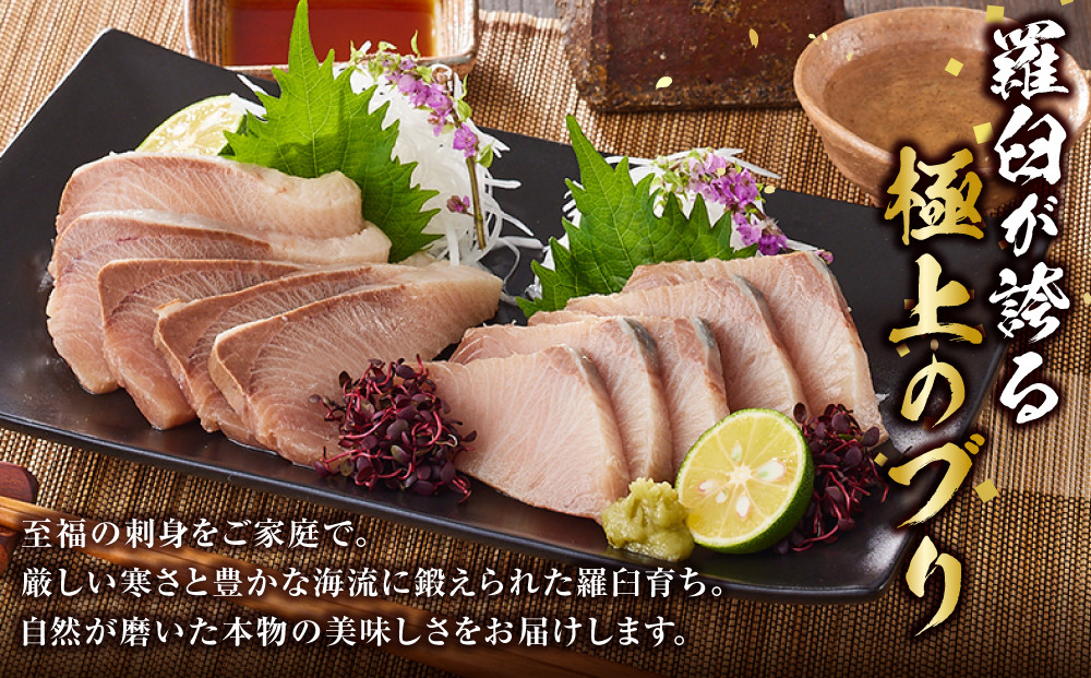 羅臼産刺身用ブリ　500g