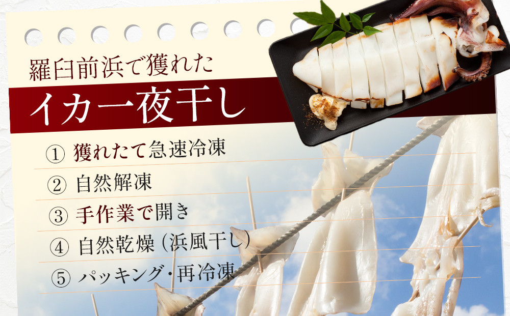 数量限定 渋谷さん家の知床羅臼産 イカの一夜干し 中サイズ 4尾（200g前後×4パック） 生産者 支援 応援