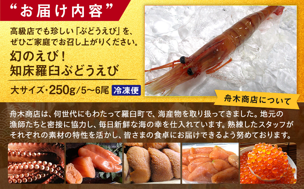 幻のぶどうえび（大・250g /4～6尾）エビ 海老 ブドウエビ 羅臼町 北海道 魚介類 魚介 海産物 冷凍 生産者 支援 応援