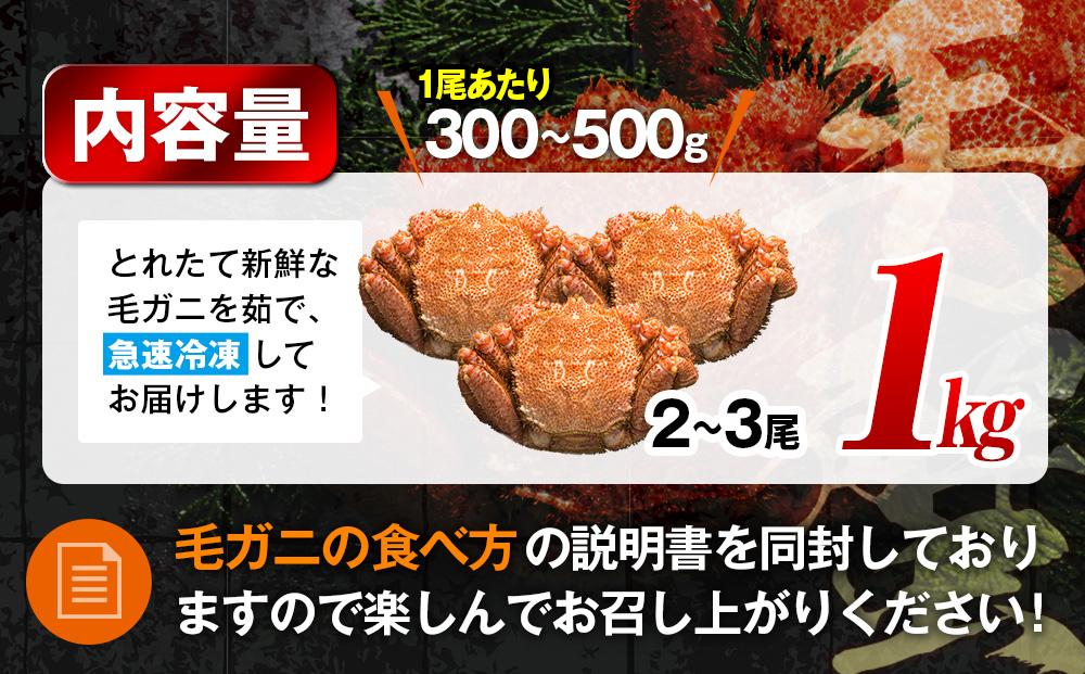 【先行予約/2026年4月発送開始】2026年産　ボイル冷凍毛ガニ　１kg　300g～500g　2～3尾