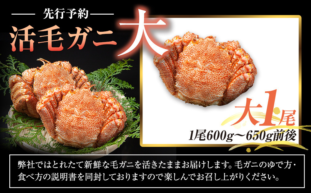  【先行予約/2026年4月発送開始】活毛ガニ　大１尾（600g～650g前後）