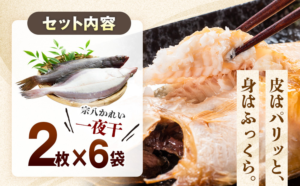 知床羅臼産宗八かれいセット  カレイ 鰈 一夜干し 干物 おかず ごはんのお供 お酒の肴 おつまみ アテ 魚 魚介 魚介類 海産物 海鮮 焼き魚 焼くだけ グリル 生産者 応援 支援