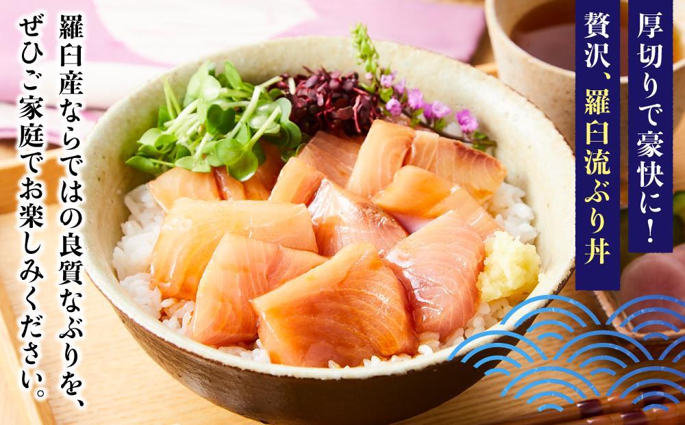 【2025年12月発送】北海道 知床羅臼産 天然ぶり刺身 500g (250g×2パック) 魚 海産物 魚介 魚介類 ブリ 鰤 刺身 ご飯のお供 冷凍 生産者 支援 応援