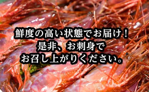 幻のぶどうえび（大・250g /4～6尾）エビ 海老 ブドウエビ 羅臼町 北海道 魚介類 魚介 海産物 冷凍 生産者 支援 応援