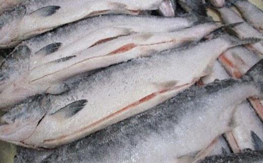 知床羅臼産　鮭　秋味切身セット 約400g×2パック 生産者 支援 応援