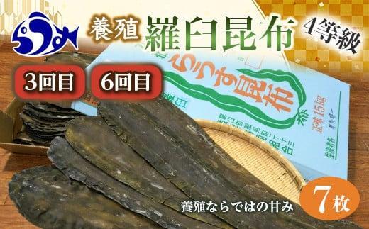 年6回！羅臼昆布の出汁比べ定期便（等級比較） 生産者 支援 応援
