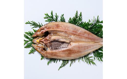 北海道産 真ほっけ開き 一夜干し 3枚セット ほっけ 魚醤干し 北海道 知床 羅臼町 生産者 支援 応援