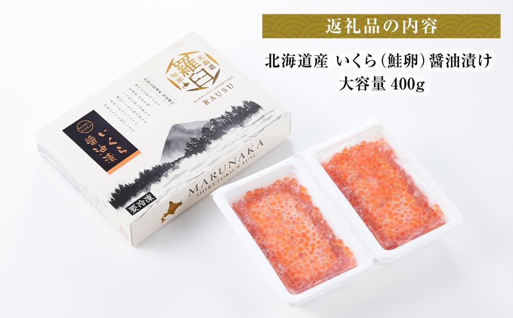 【2月発送】北海道産 いくら（鮭卵）醤油漬け 大容量400g(200g×2パック) 国産 小分けパック イクラ 海鮮丼 ギフト 贈り物 魚介類 魚介 海産物 鮭 シャケ しゃけ 生産者 支援 応援