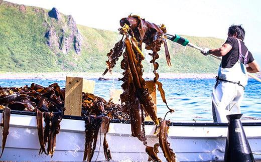 天然１等 天神さん家の花折羅臼昆布 2枚入り 北海道 知床 羅臼産 生産者 支援 応援 だし 和食