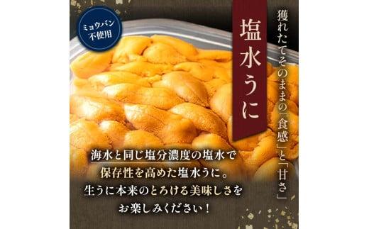 【先行予約/2026年1月より発送】天然 エゾバフンうに （上）塩水うに 100g （100g×1枚）ミョウバン不使用 北海道知床羅臼産