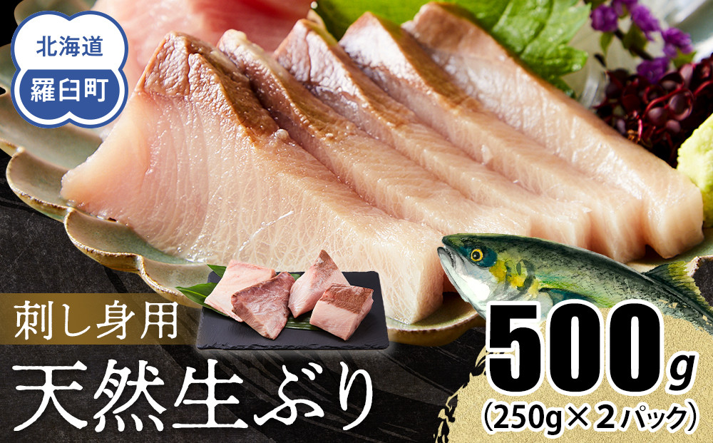 【2025年12月発送】北海道 知床羅臼産 天然ぶり刺身 500g (250g×2パック) 魚 海産物 魚介 魚介類 ブリ 鰤 刺身 ご飯のお供 冷凍 生産者 支援 応援