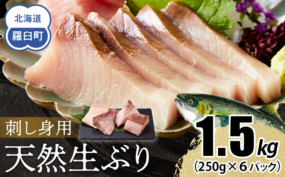 【2026年2月発送】北海道 知床羅臼産 天然ぶり刺身 1.5kg (250g×6パック) 魚 海産物 魚介 魚介類 ブリ 鰤 刺身 ご飯のお供 冷凍 生産者 支援 応援