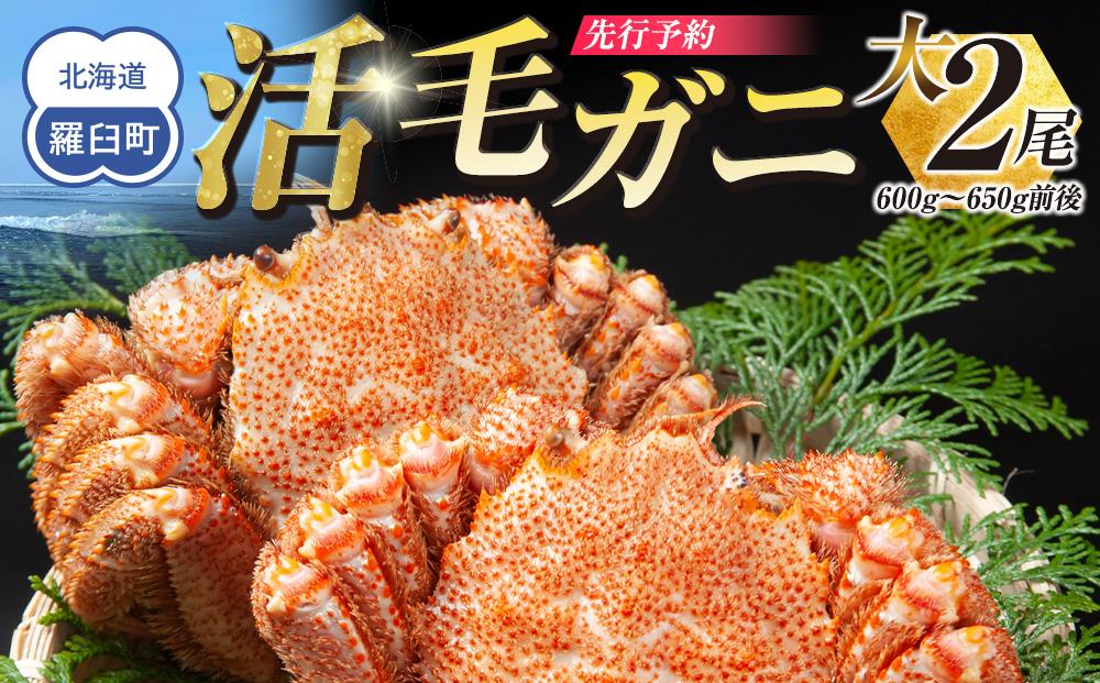 【先行予約/2026年4月発送開始】活毛ガニ　大２尾（600g～650g前後）