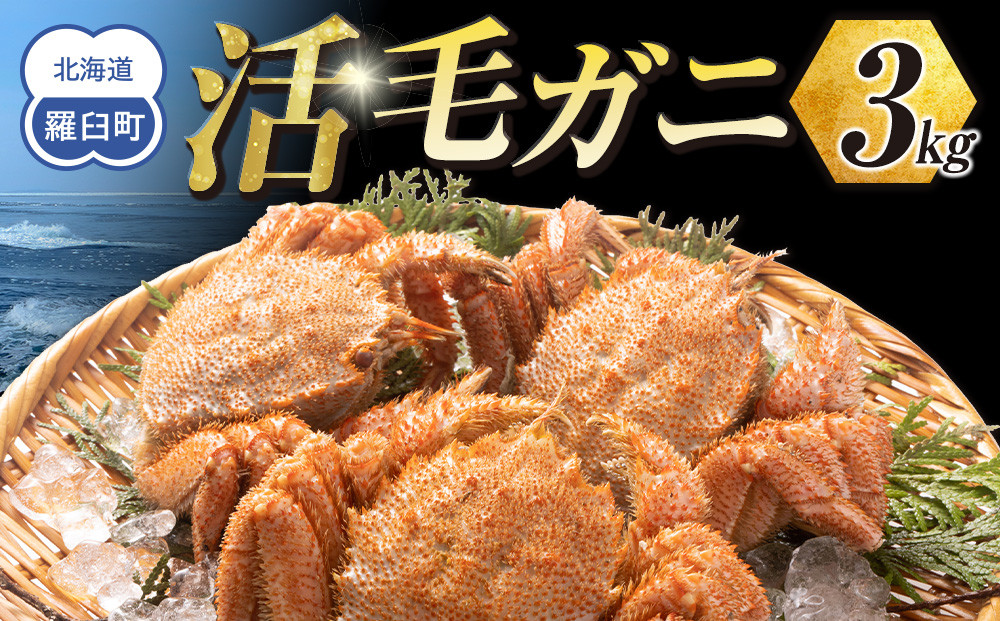  【先行予約/2026年4月発送開始】活毛ガニ　３kg　300g～500g　６～９尾