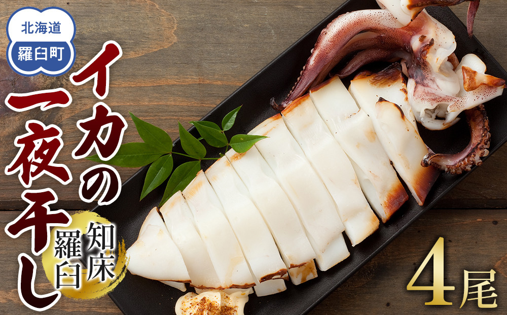 数量限定 渋谷さん家の知床羅臼産 イカの一夜干し 中サイズ 4尾（200g前後×4パック） 生産者 支援 応援