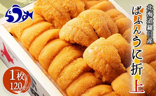 エゾバフンウニ　折うに(上)120×1枚