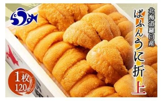 【先行予約/2026年1月より発送】エゾバフンウニ（上）折うに 120g×1枚