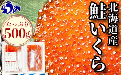 令和4年度産 北海道産 いくら(鮭卵)醤油漬け 大容量500g(250g×2パック) F22M-084