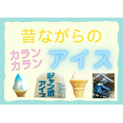 よくばりアイスセット【ケースアイス×5種類・コーン×50個・盛り付け用ヘラ付き】【配送不可地域：離島】