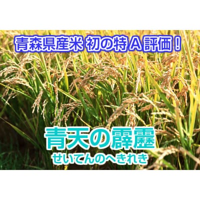 青森県産 青天の霹靂 精米済み 5kg【配送不可地域：離島・沖縄県】
