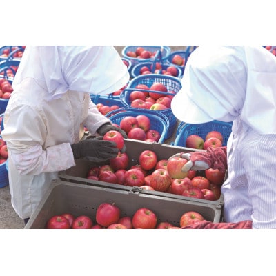 タムラシードルSWEET＆DRY2本セット　TM-SD