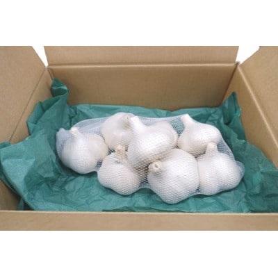 たっこにんにく(福地ホワイト)