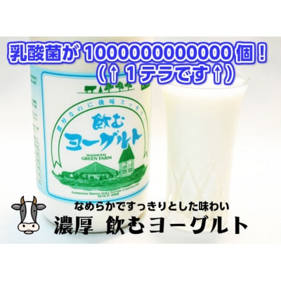 飲むヨーグルト 900ml×6本セット 乳酸菌が1テラ個の濃厚のむヨーグルト【配送不可地域：離島】