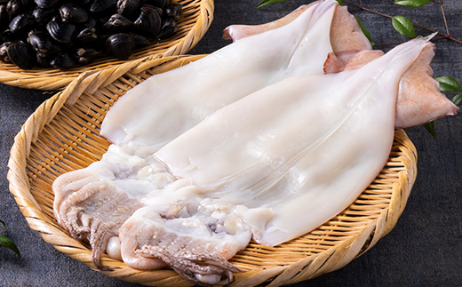 鰺ヶ沢の生干しイカ(210g～269g×2枚)と、十三湖産しじみ(250g×4袋)セット【配送不可地域：離島】