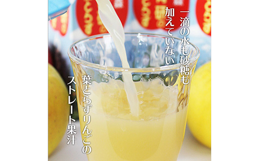葉とらずりんごジュース　1000g×12本入り
