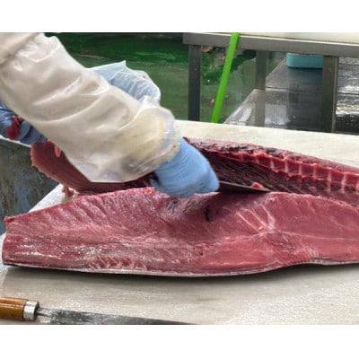 【市場直送!】青森産　天然本マグロ　切り落とし まぐろ(赤身・中トロ・大トロ入り)　250g×2P【配送不可地域：離島】