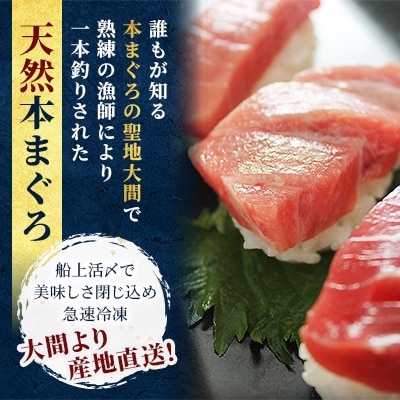 大間産本マグロ 3種セット(大トロ・中トロ・赤身) 合計600g前後【配送不可地域：離島】