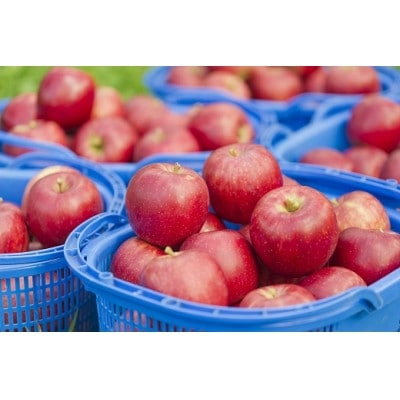 タムラシードル SEC＆BRUTギフトセット