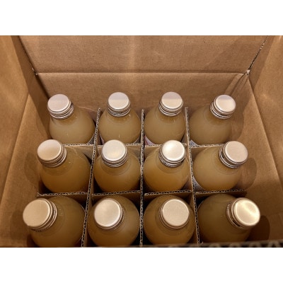 りんごジュース　250g×12本