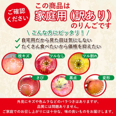 青森県産りんご 平均糖度13度以上! 有袋ふじ 約10kg 訳あり クール便【配送不可地域：離島・沖縄県】