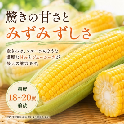 とうもろこし 朝採り 嶽きみ(だけきみ) 10本 L～2Lサイズ 冷蔵【配送不可地域：離島・沖縄県・九州】