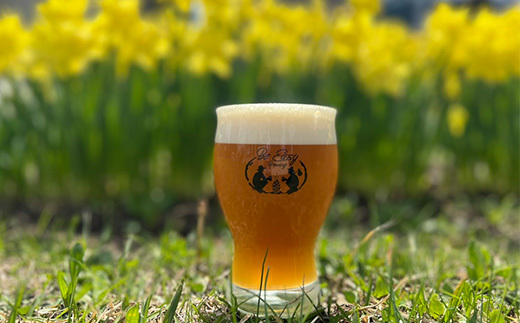 クラフトビール　定番4種類と限定2種類　計 350ml×6本セット【配送不可地域：離島】