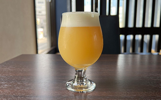 クラフトビール　限定6種類　6本セット【配送不可地域：離島】