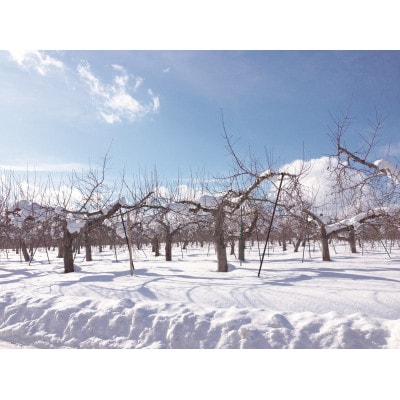 タムラシードルSWEET＆DRY2本セット　TM-SD