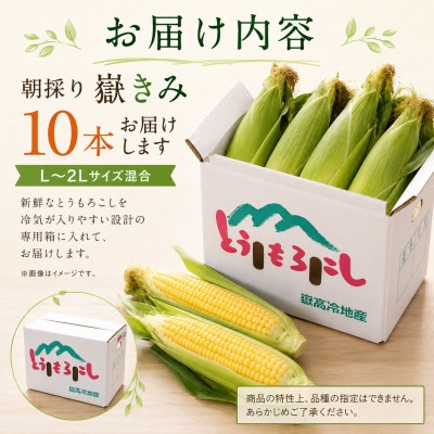 とうもろこし 朝採り 嶽きみ(だけきみ) 10本 L～2Lサイズ 冷蔵【配送不可地域：離島・沖縄県・九州】